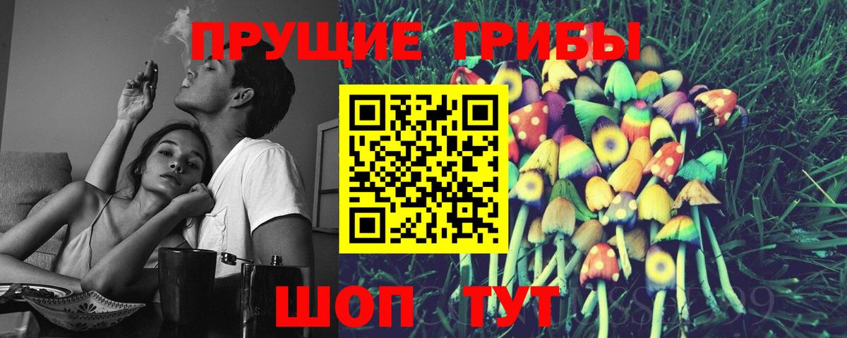 Псилоцибиновые грибы Psilocybe Раменское