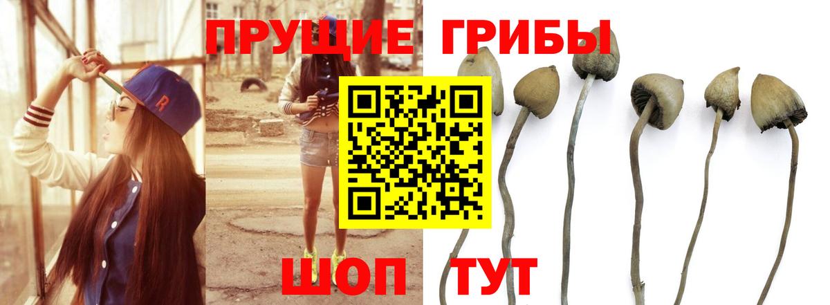 Псилоцибиновые грибы ЛСД Раменское