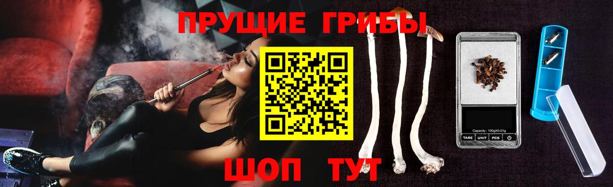 Галлюциногенные грибы мицелий  что такое наркотик  Вход с VPN  Раменское  Псилоцибиновые грибы GOLDEN TEACHER 