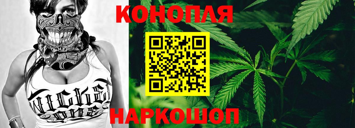 Бошки марихуана White Widow  Каннабис план  Раменское  Вход с VPN 